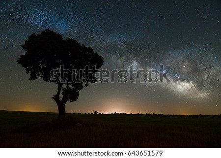 Night long exposure photography: The Milky Way and the Tree, Guadalajara countryside, Spain.