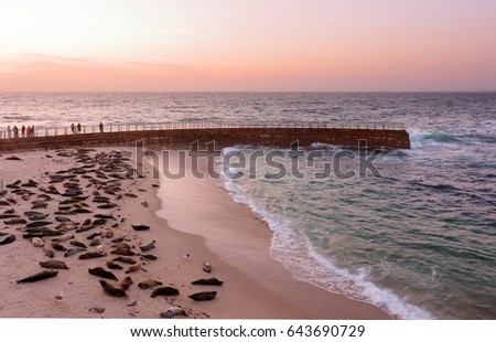 La Jolla Cove after Sunset, San Diego, California. Photo showing seals lying on the beach. The Cove is protected as part of a marine reserve.