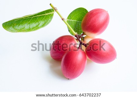bengal-currants, carandas-plum, isolated on white background.