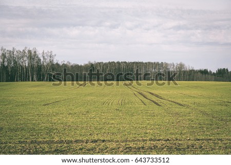 beautiful green fields under blue sky in summer with white clouds and perspective - vintage green look