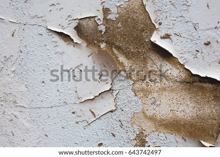 Mortar crack