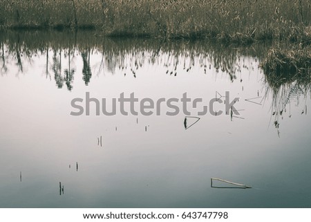 abstract reflections of beautiful trees in the lake water at summer - vintage green look