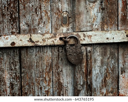 Old wood background. Old wooden door
