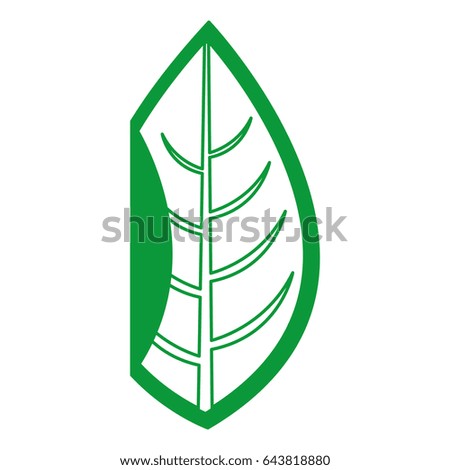 leaf plant seasonal icon