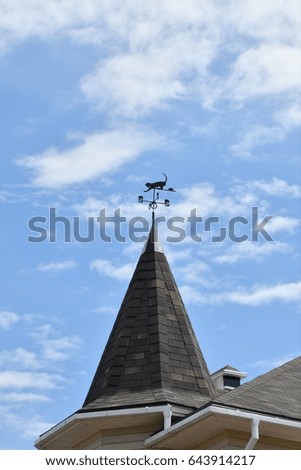 Weather vane on the steeple village house