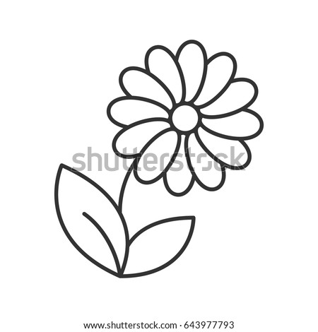 Camomile linear icon. Thin line illustration. Flower contour symbol. Vector isolated outline drawing