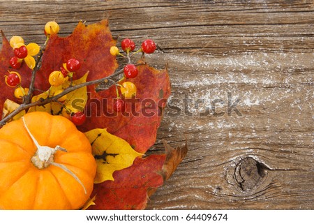 A country-inspired image with pumpkin, leaves and bittersweet berries in lower left against a textured wood background, leaving right side available as copy space.