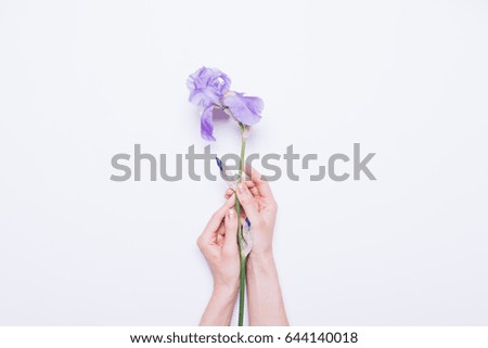 Female hands holding a blue flower on a white background, close-up
