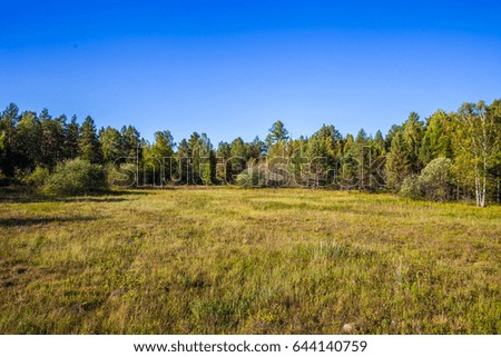 Journey on foot through uncharted roads of the national Park. Summer in the forest. Panorama of the natural landscape. 
