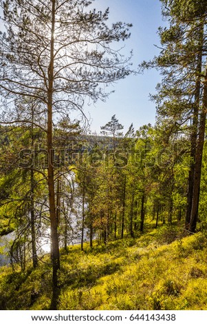 Journey on foot through uncharted roads of a national Park. Summer in the forest. Panorama of the natural landscape. Blue sky. 