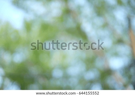 Abstract Green nature bokeh background.