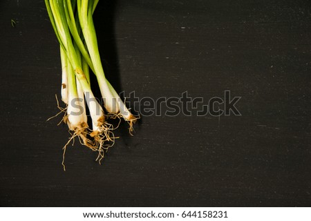 Close up of  scallion root on black background