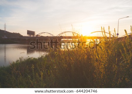 Beautiful light of sunset cross the bridge and river through  mass of grasses 