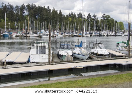 Rows of sailboats docked in a marina near Stanley Park.