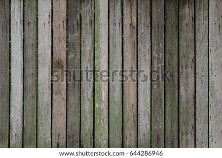 Old wood colorful texture for the background
