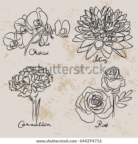 Flower painting, drawing a brown background.