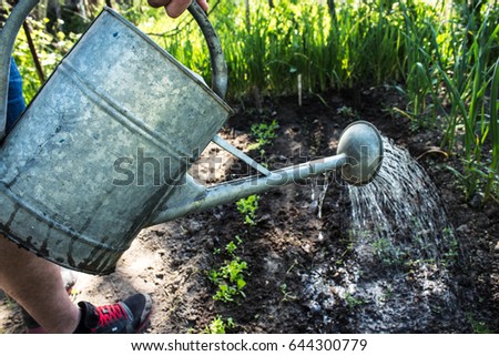 Large iron watering can, watering plants Royalty-Free Stock Photo #644300779