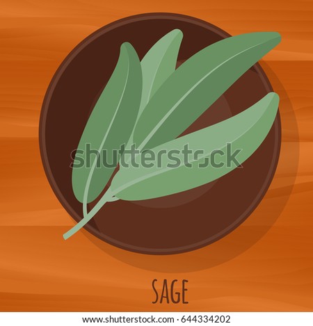 Sage flat design vector icon. Flavor spices and herbs menu template collection.
