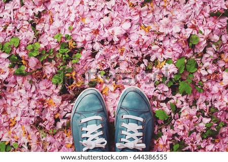 blue sport shoes (sneakers) on meadow with grass and pink flowers. toned picture. top view
