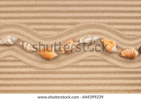 Row of seashell lying on the striped sand, with space for text. View from above