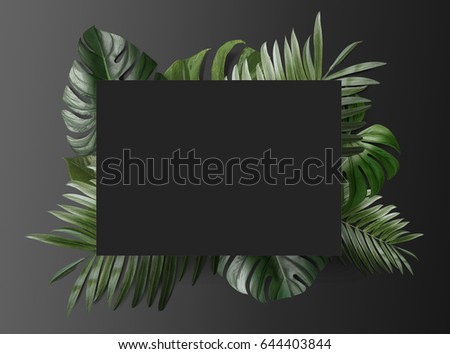 Palm leafs background concept