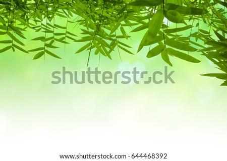 Leaf pattern leaves bamboo or abstract background .Green Energy and world for water day or National Forest Conservation Day. Space for your text.