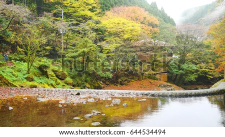 Beautiful scenery of a pond at Kikuchi Keikoku after raining with light fog, Kumamoto, Japan