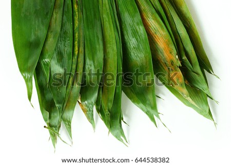 Bamboo leaves for Chinese rice dumpling, dragon boat festival
