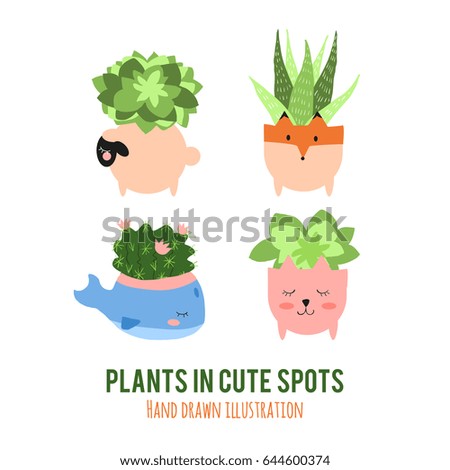 cactus in pot, flat design vector illustration