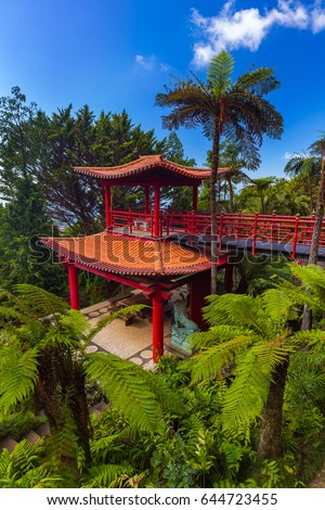 Monte Tropical Garden in Madeira Portugal - travel background