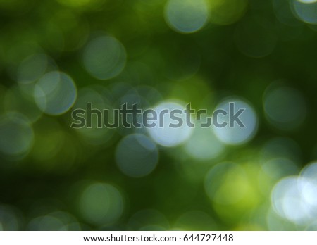 Green blurred background, the bokeh effect.
