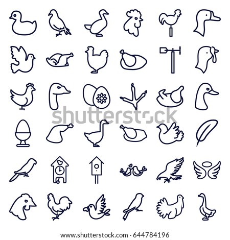 Bird icons set. set of 36 bird outline icons such as dove, eagle, goose, footprint of  icobird, rooster, parrot, chicken, sparrow, turkey, duck, wings, meat leg, weather vane