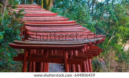 Red torii gates of Yutoku Inari Shrine in Kashima City, Japan.