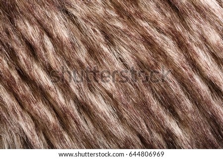 texture of fur. Red Brown Grey Wolf, Fox, Bear Fur Natural, Animal Wildlife Concept and Style for Background, textures and wallpaper. Macro Brown fur