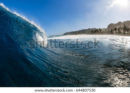 Hawaii wave crashing on reef in front of beach and palm trees