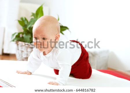 Cute infant girl is leaning to stand on fours