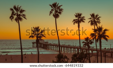 Palm trees at Manhattan Beach at sunset. Fashion travel and tropical beach concept. 