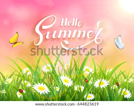 Sunny pink background with lettering Hello Summer. Butterflies flying above the grass and flowers, illustration.