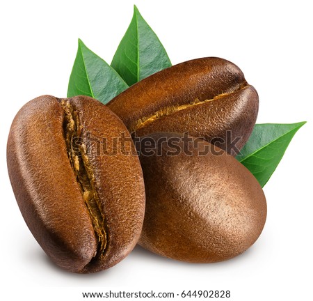 Three shiny fresh roasted coffee beans with leaves isolated on white background. Royalty-Free Stock Photo #644902828