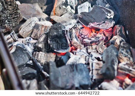 The hot coals are in the brazier. Smoke from the fire. Hot coals. Barbecue, shish kebab, picnic. Cooking. Spicy dish. Outdoor cooking
