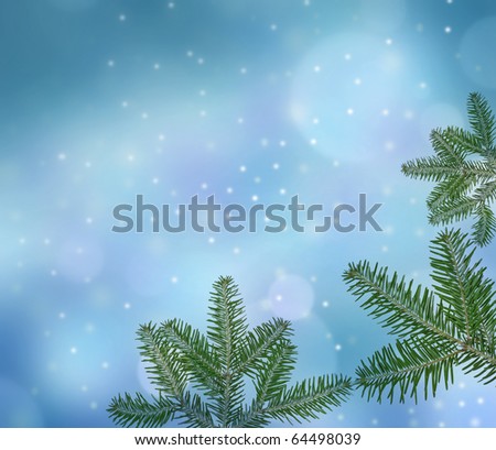 winter background with spruce twigs