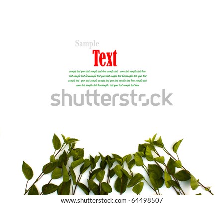 Green leaf background with copy-space.