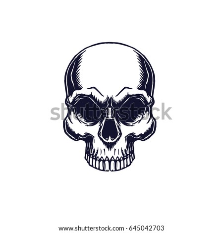 Monochrome skull high detailed illustration