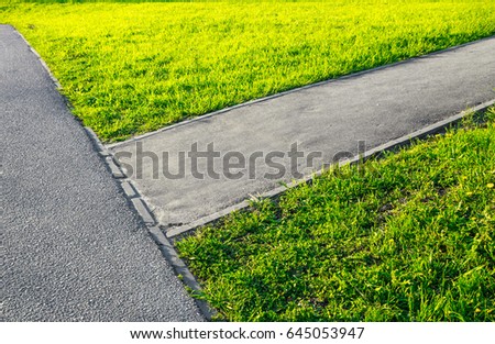 Asphalt path for walk and bicycles in the park