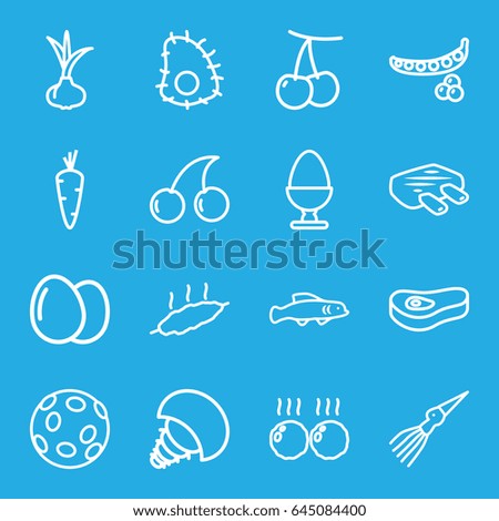 Raw icons set. set of 16 raw outline icons such as egg, onion, carrot, cherry, peas, cherry, meat, extinct sea creature