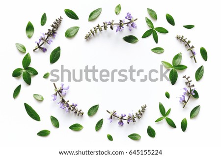 Purple meadow flowers and green leaves frame on white background.