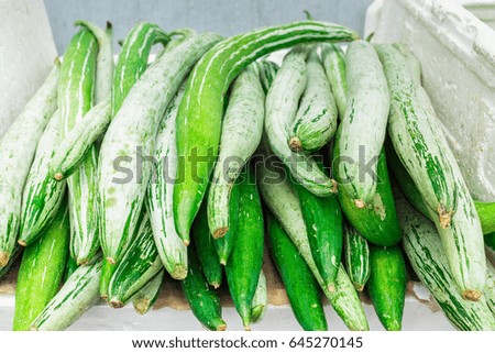 fresh organic zucchini (zucchini)