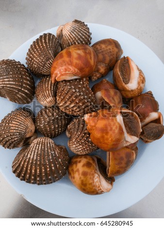 Delicious boiled or steamed cockles(Scallop seafood) on plate selective focus