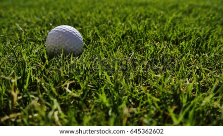 Close-up of a golf ball on a green grass on a sunny day.