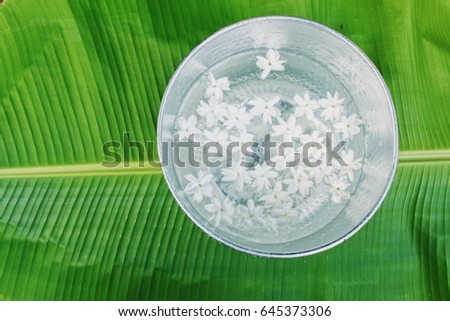 Jasmine in the water banana leaves background 